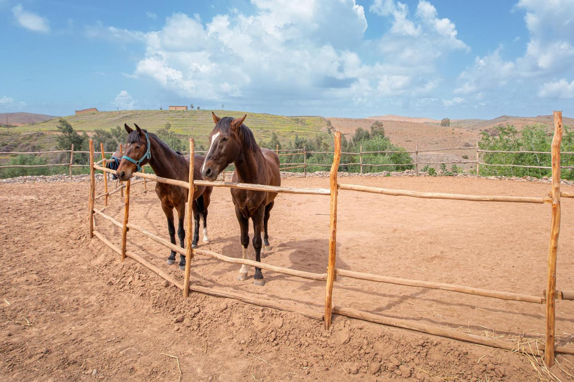 La Fattoria Ecolodge لالا تاكركوست المظهر الخارجي الصورة