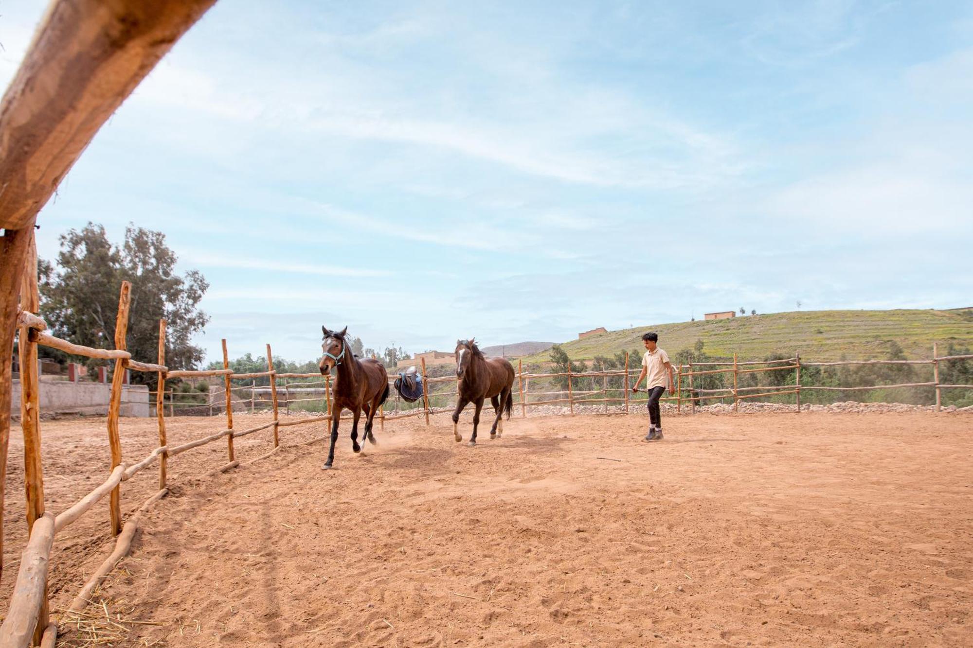 La Fattoria Ecolodge لالا تاكركوست المظهر الخارجي الصورة