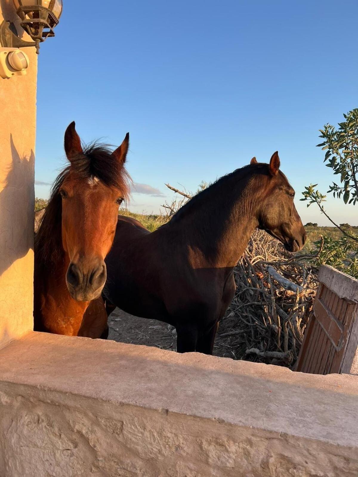 La Fattoria Ecolodge لالا تاكركوست الغرفة الصورة